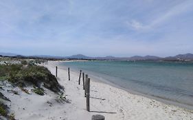 Alta Marea